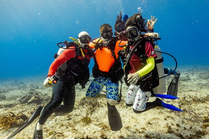 Discover Diving in the Reefs of Cozumel - First-time scuba in Cozumel’s warm, clear water