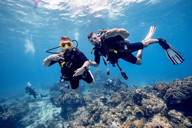 Discover Diving in the Reefs of Cozumel - What you actually learn before you touch the reef