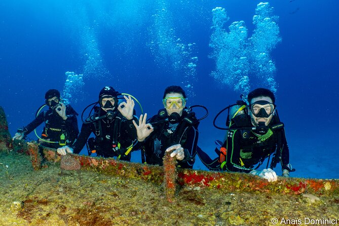 Discover Scuba Diving at Cozumel Marine Park - Pool Skills With a PADI Open Water Instructor (Confidence First)