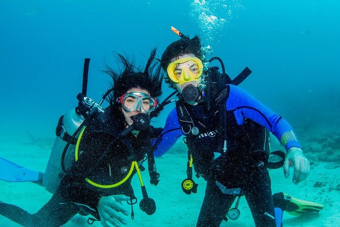 Discover Scuba Diving at Cozumel Marine Park - Two Shallow Reef Sessions in Cozumel National Marine Park