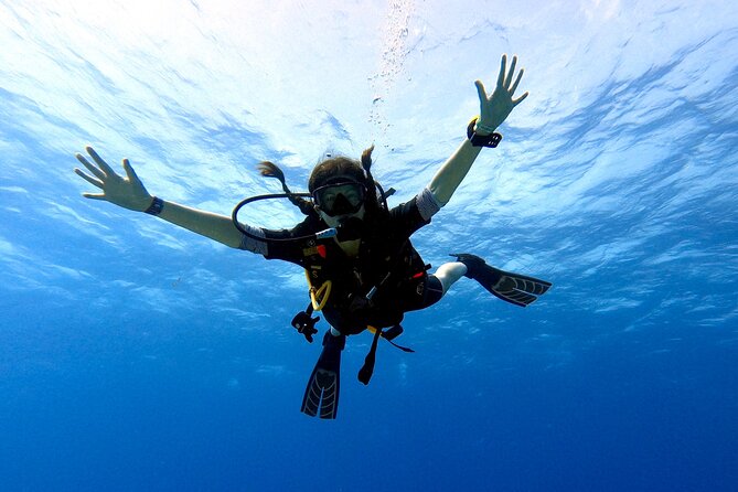 Discover Scuba Diving in Cozumel - Who This Cozumel Scuba Try Is Best For
