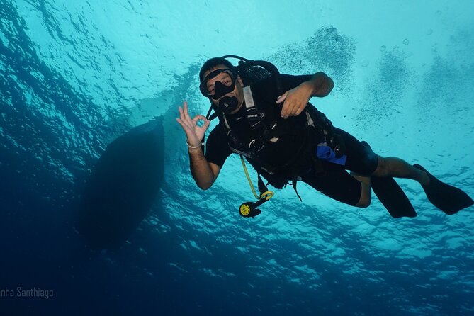 Discover Scuba Diving in Cozumel - Should You Book This Discover Scuba Try in Cozumel?