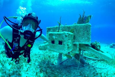 Diving For People Without Experience - Safety Focus: Shallow Water, Light Current, and Real Training Time