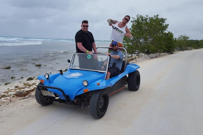 Dune Buggy Adventure, Snorkel, Mayan Town, East Coast, Tequila and City Tour - Key takeaways before you go