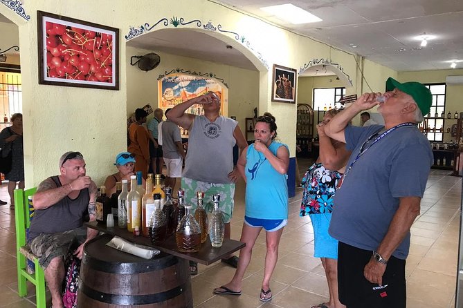 Dune Buggy Adventure, Snorkel, Mayan Town, East Coast, Tequila and City Tour - Lunch on the island: Mexican food, but check what’s actually on offer