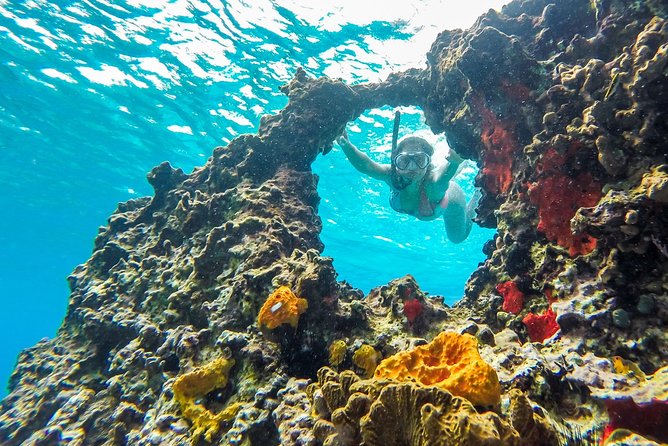 E-bike West Coast Snorkeling Tour - Cozumel by e-bike: why this 4-hour plan makes sense