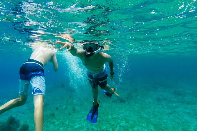 E-bike West Coast Snorkeling Tour - Biking details: who the e-bikes work for (and who should reconsider)