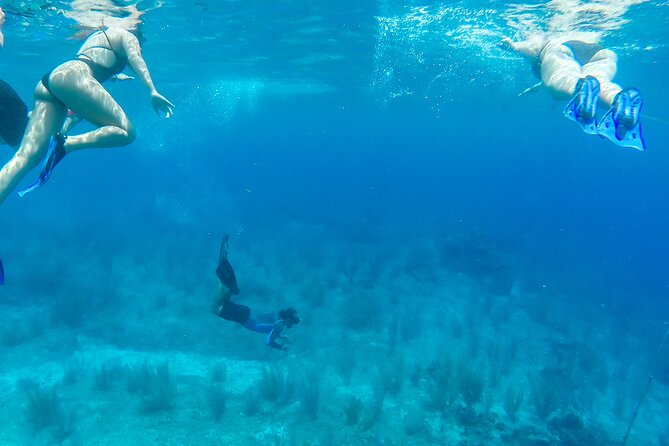 E-bike West Coast Snorkeling Tour - Guides and group size: where reviews hint at the real quality