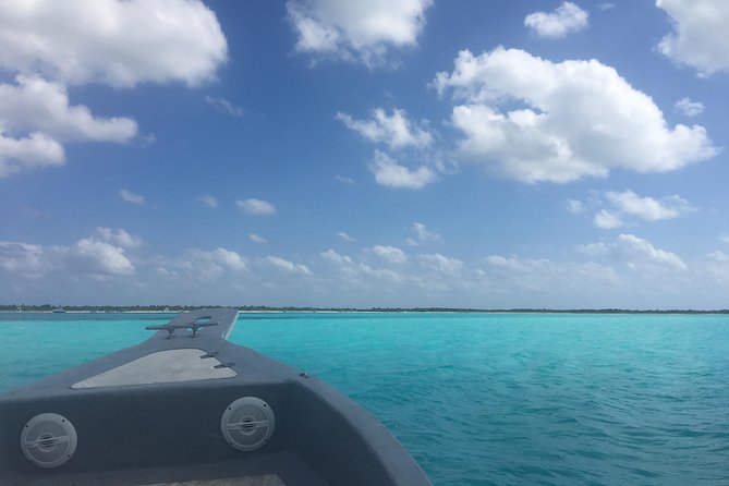 El Cielo and Snorkel Private Excursion - The crew experience: flexible, friendly, and attentive to different snorkel skills