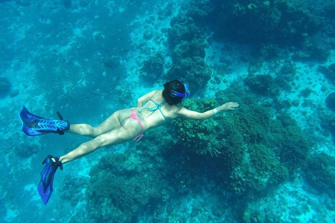 El Cielo and Snorkel Private Excursion - Price and value: $750 per group up to 10 people