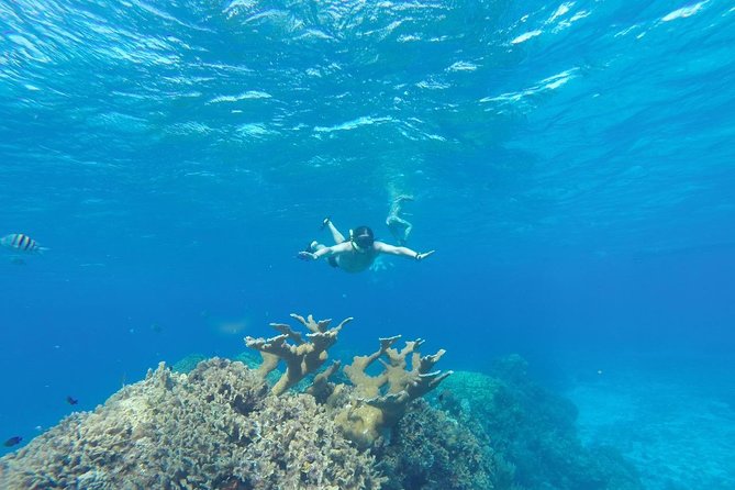 El Cielo and Snorkel Private Excursion - Who this Cozumel private excursion suits best