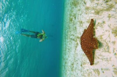 El Cielo Cozumel Snorkel tour by Catamaran - Boarding at Marina Cozumel: start on time and you’ll be fine
