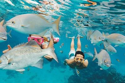 El Cielo Palancar and Columbia Snorkeling Tour - Stop 1 at Palancar Reef: 45 minutes of coral-and-creature time