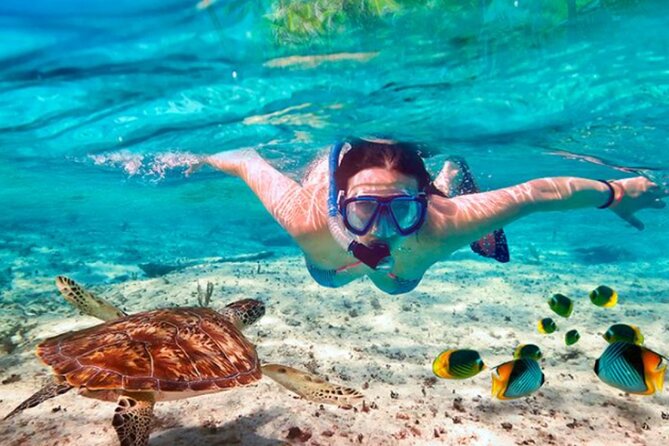 El Cielo Palancar and Columbia Snorkeling Tour - Included drinks and ceviche: what you’ll eat, and what you won’t