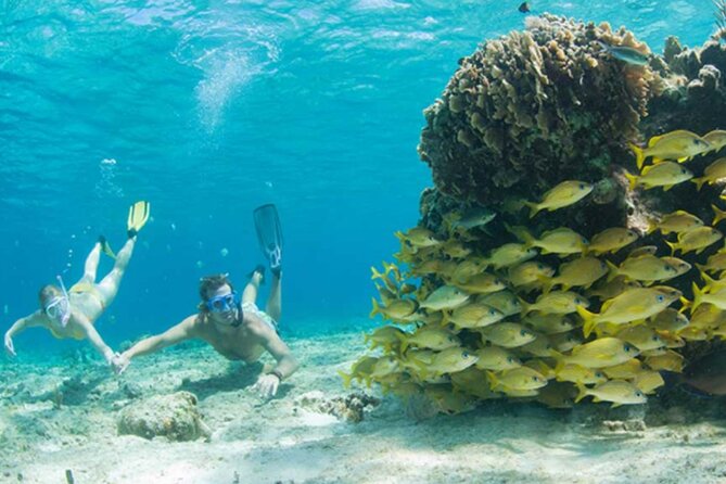 El Cielo Palancar and Columbia Snorkeling Tour - Price and value: why $74.63 might be a fair deal