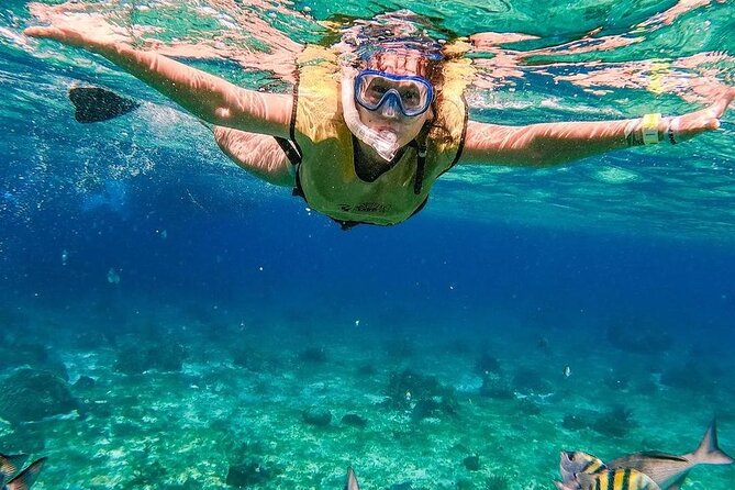El Cielo Snorkeling Adventure in Cozumel - Stop 2: Columbia Reef for Deeper Water and Drop-Off Drama