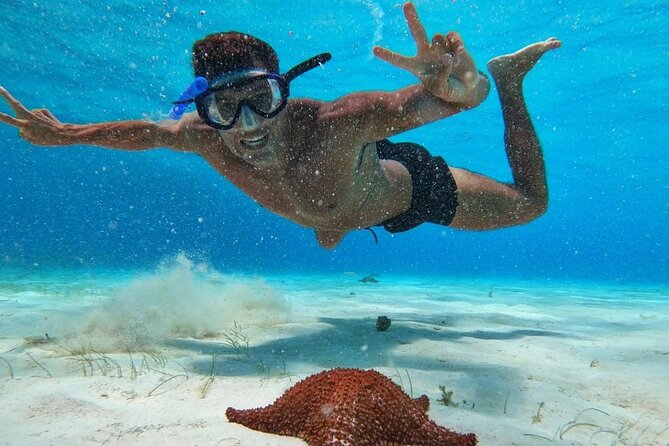 El Cielo Snorkeling Adventure in Cozumel - Stop 4: El Cielito Extension and the Shallow-Ray Ending