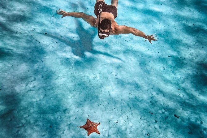 El Cielo Snorkeling Adventure in Cozumel - Getting Started at Anchor of Cozumel Muelle