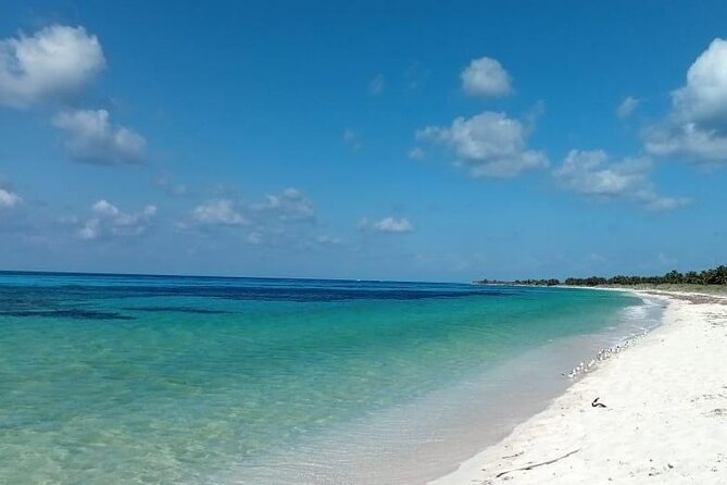 Electric Island Tour with Snorkeling, Lunch & Otoch Mayan Experience - Stop 2: Playa Publica San Martín Beach lunch by the sea