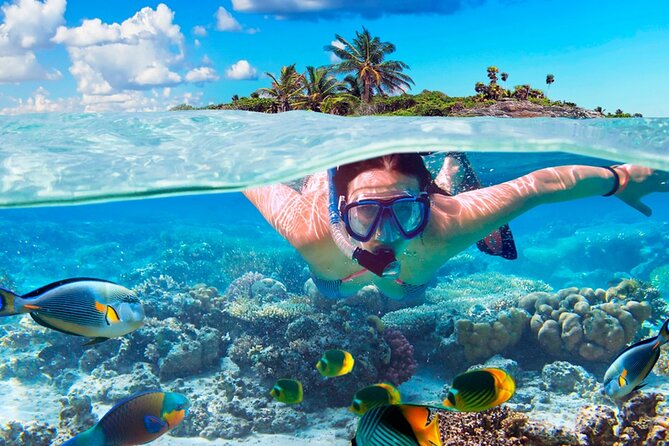 Electric Island Tour with Snorkeling, Lunch & Otoch Mayan Experience - Tasting lineup: tequila varieties, Ixtabentun, chocolate, tortillas, honey