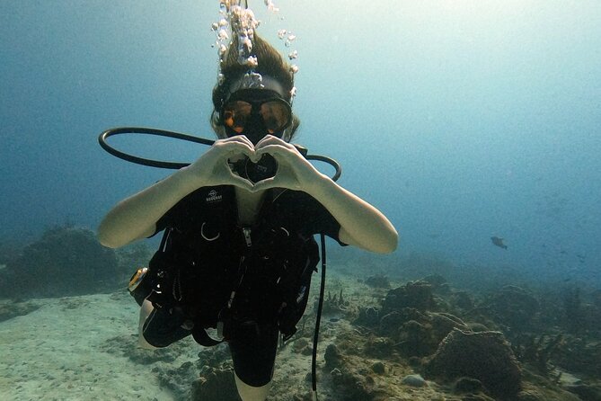 Enjoy two dives without previous experience with a boat trip - Key Things to Know Before You Book