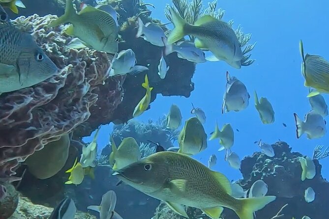 Enjoy two dives without previous experience with a boat trip - Boat Ride Tips: Comfort, Motion, and Staying Focused