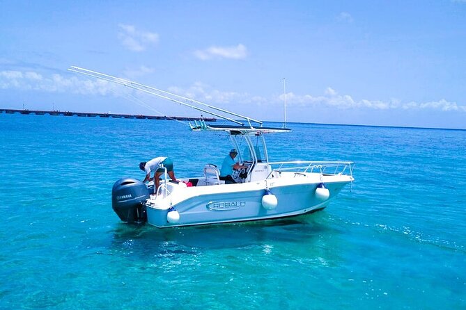 Exclusive Private Boat to El Cielo - Stop 2: Colombia Deep Reef for another reef style