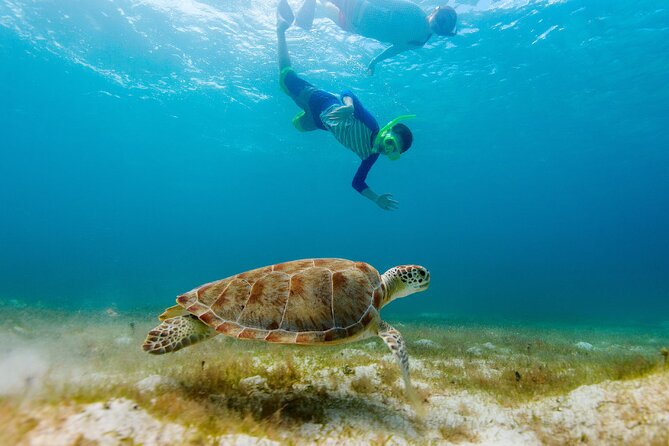 Exclusive Private Boat to El Cielo - Stop 4: Parque Nacional Arrecifes de Cozumel for the bigger reef session