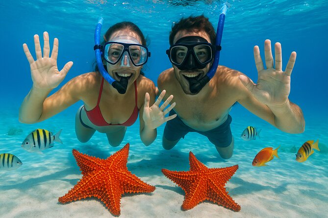 Exploration to El Cielo and Reefs: Live up close with stars - Key highlights you should care about