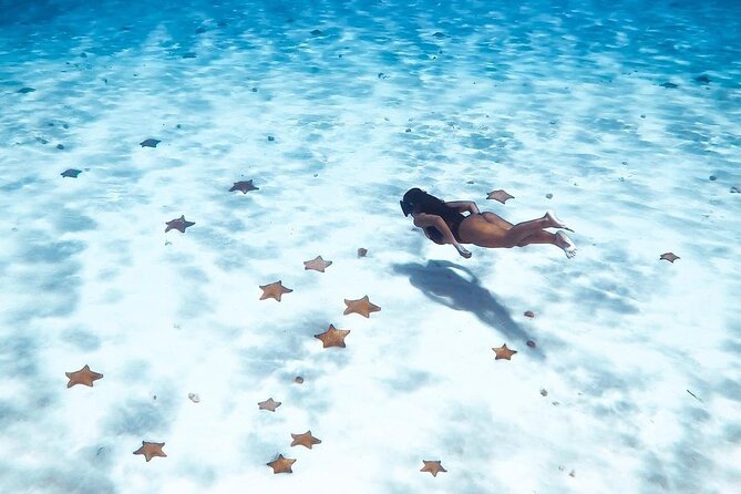 Exploration to El Cielo and Reefs: Live up close with stars - El Cielito Beach finish: shallow water and manta rays