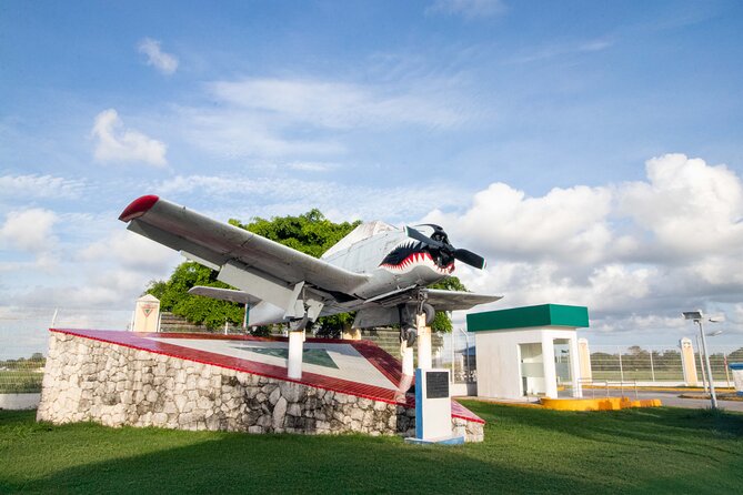 Explore Cozumel your Way Private Island Tour with Pro Guide - Stop 3 at Coco’s Beach Club: snorkel from shore, then lunch and relax time