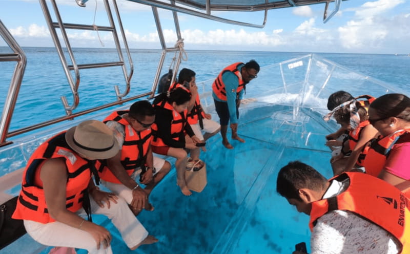 Explore the sea of cozumel in a transprent boat with drinks and snorkel. - Shipwrecks, Coral, and Tropical Fish From a Clear Hull