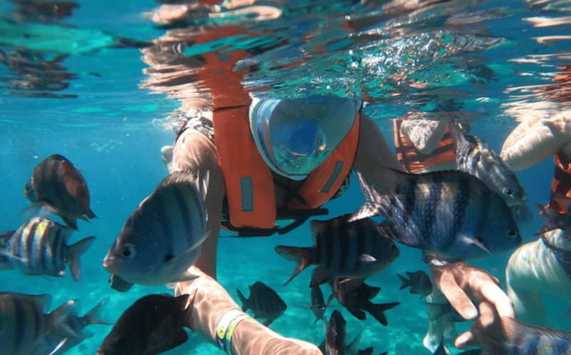 Explore the sea of cozumel in a transprent boat with drinks and snorkel. - Drinks and the Guide-Captain Team: Simple, Friendly, and Helpful