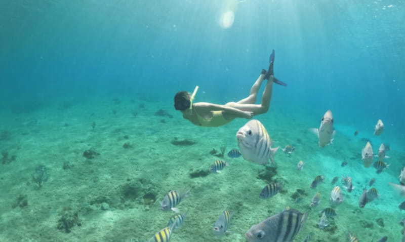 Explore the sea of cozumel in a transprent boat with drinks and snorkel. - Price and Value: Is $44 Worth 90 Minutes?