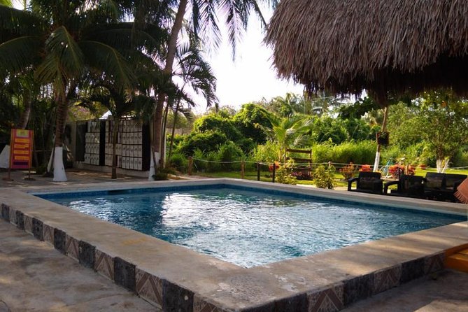 Express Jeep Tour With Snorkel, Lunch, Mayan Town, East Coast and Tequilaaaaaaaa - Should You Book This Cozumel Jeep Tour with Snorkel, Lunch, Mayan Town, and Tequila?