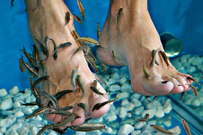 Fish Spa, Beach Break with Lounge Chairs, Umbrellas & Beach Area - Fish Spa Tanks With Red Garra Fish: Expect a Tickly Foot Moment