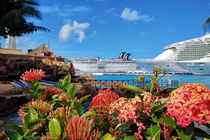Fish Spa, Beach Break with Lounge Chairs, Umbrellas & Beach Area - Getting There From the Cruise Port: Easy Taxi Target