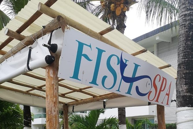 Fish Spa, Beach Break with Lounge Chairs, Umbrellas & Beach Area - Should You Book the Fish Spa and Beach Break in Cozumel?