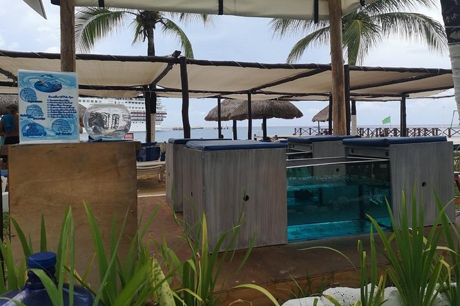 Fish Spa, Beach Break with Lounge Chairs, Umbrellas & Beach Area - Chulas Pool Party Beach Bar: Lounge Chairs, Umbrellas, and Real Beach Time