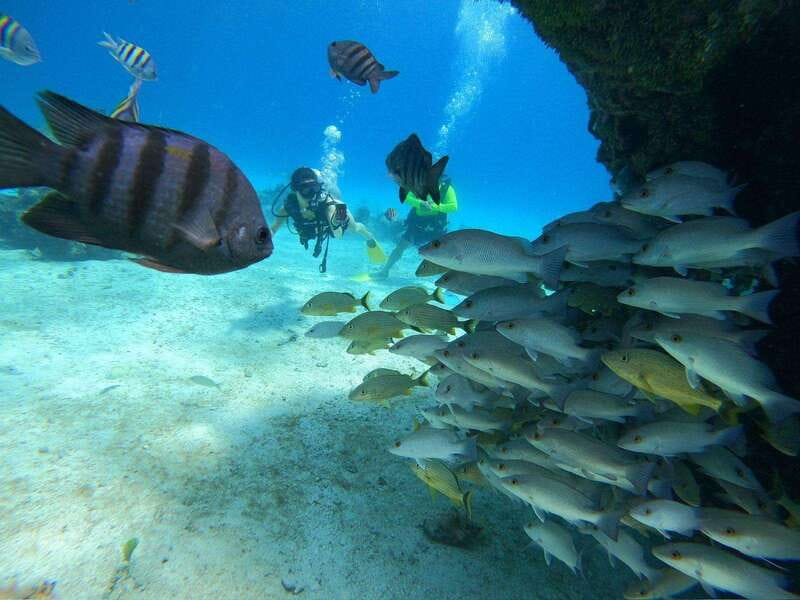 From Cozumel: Chankanaab Cozumel Scuba Diving - Before you go: what you should know about skills and comfort