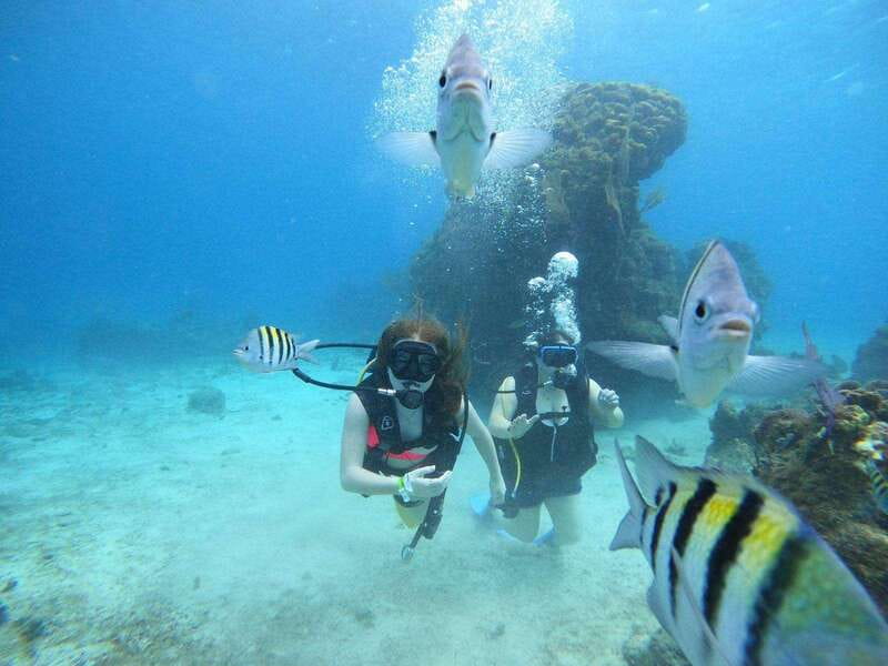 From Cozumel: Chankanaab Cozumel Scuba Diving - Where you meet at Chankanaab Adventure Beach Park