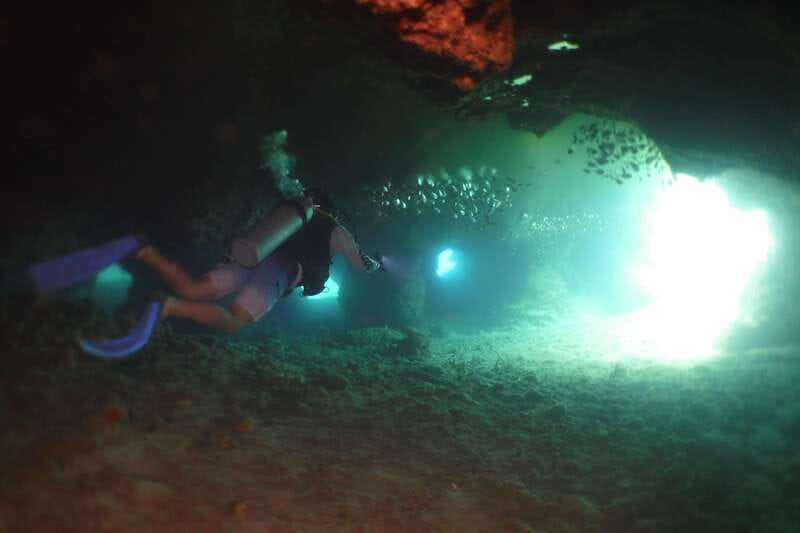 From Cozumel: Chankanaab Cozumel Scuba Diving - After your session: beach loungers, sea lion shows, and Mayan replicas
