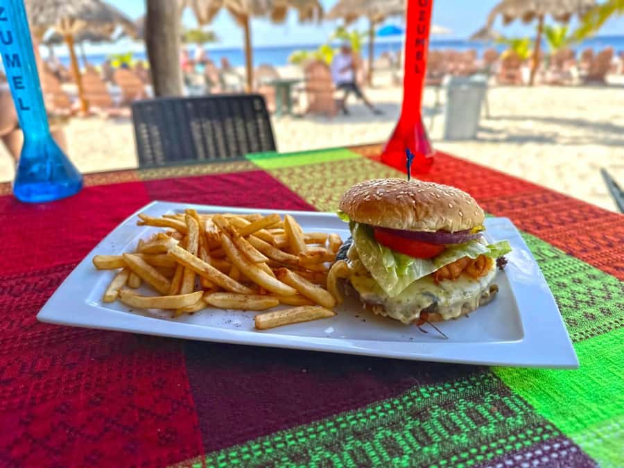 From Cozumel: Chankanaab Park Day pass with Open Bar & Lunch - Key things that matter before you go