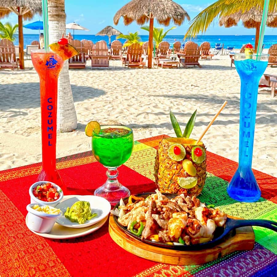 From Cozumel: Chankanaab Park Day pass with Open Bar & Lunch - Chankanaab Park: a 3-hour “best-of” day near the cruise piers