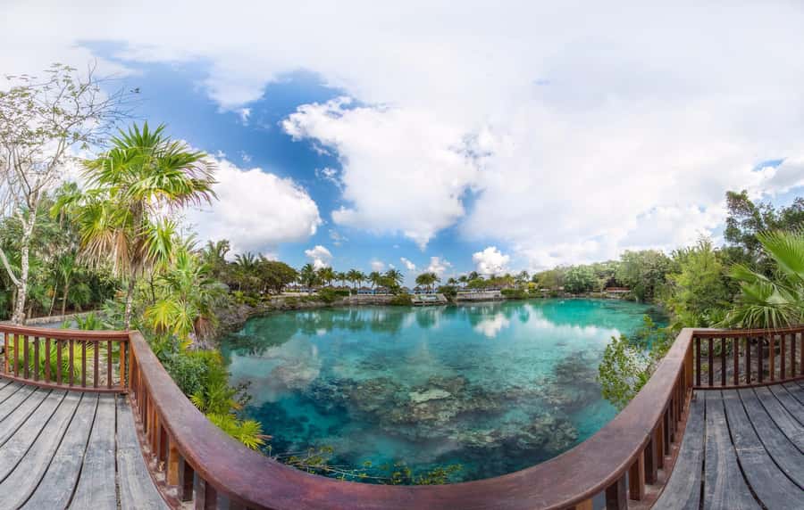 From Cozumel: Chankanaab Park Day pass with Open Bar & Lunch - Sea-lion shows and wildlife viewing: scheduled fun without hunting for tickets