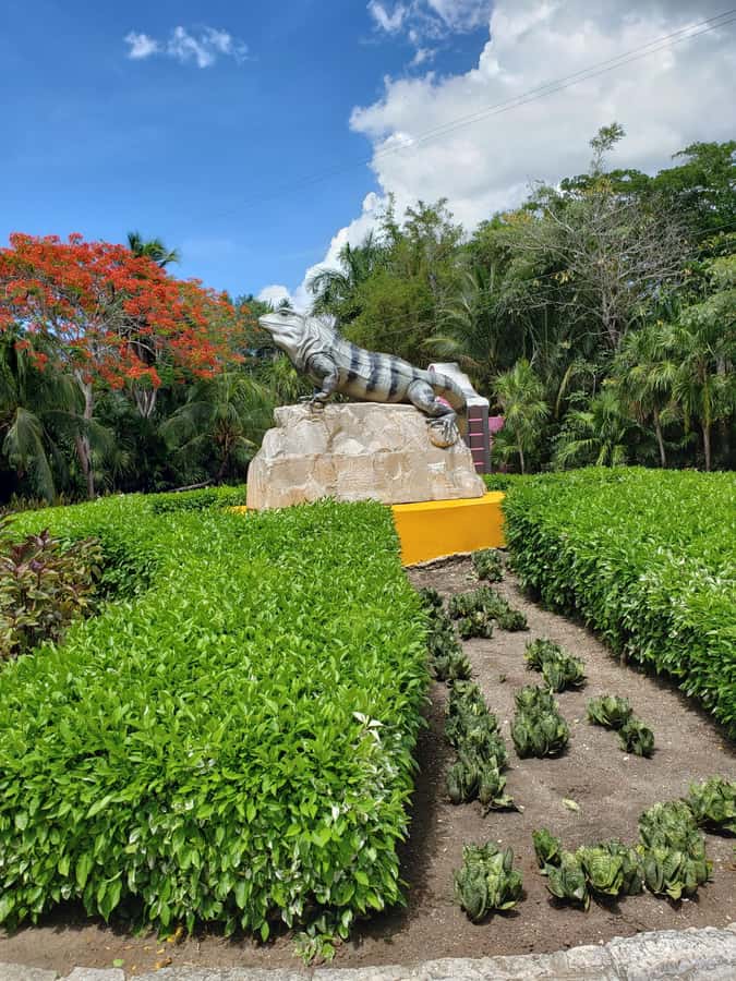 From Cozumel: Chankanaab Park Day pass with Open Bar & Lunch - Price and logistics: how $77 adds up (plus the $10 marine fee)