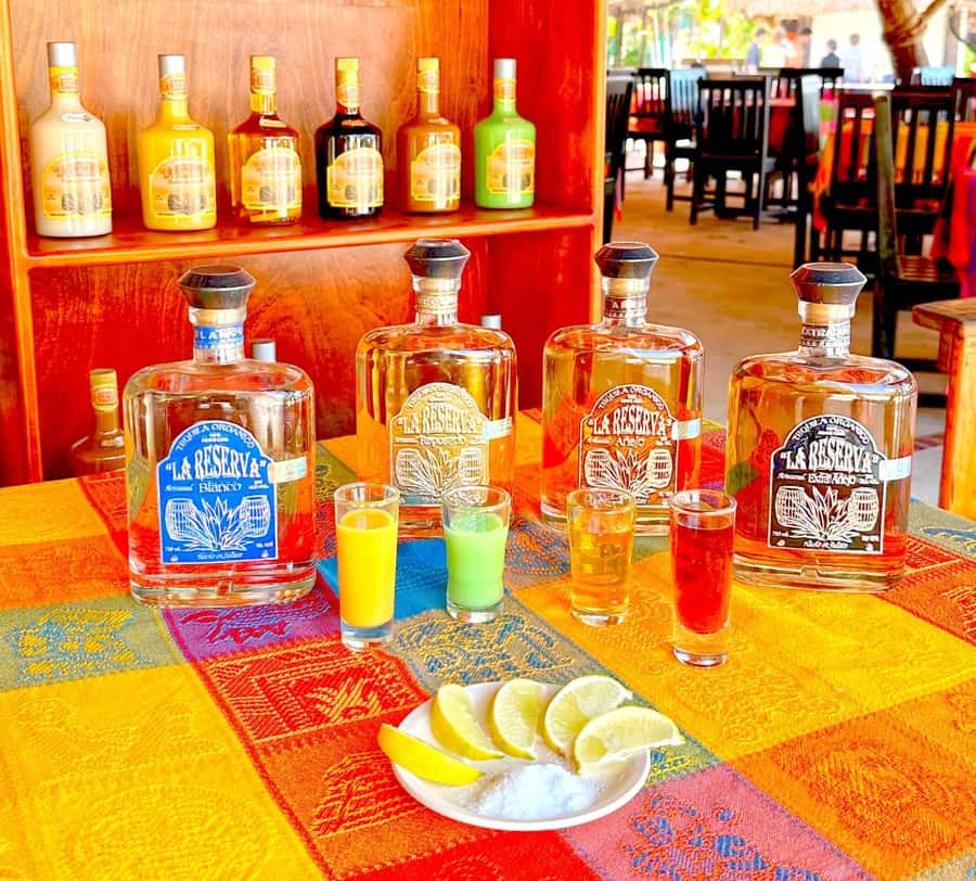 From Cozumel: Chankanaab Park Day pass with Open Bar & Lunch - Quick FAQ about this Chankanaab premium day pass