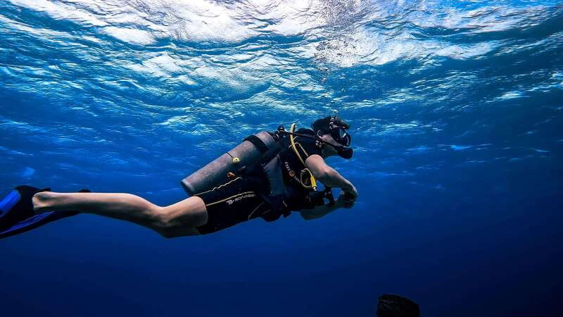 From Cozumel: Double Tank Scuba Diving for Certified Divers - Price and value: what $168 really covers, and what costs extra