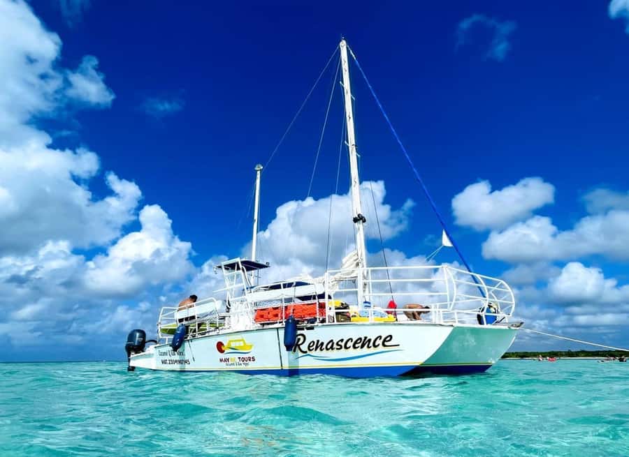 From Cozumel: El Cielo Beach by Catamaran Snorkeling Tour - Price and marine fee: where the real total lands