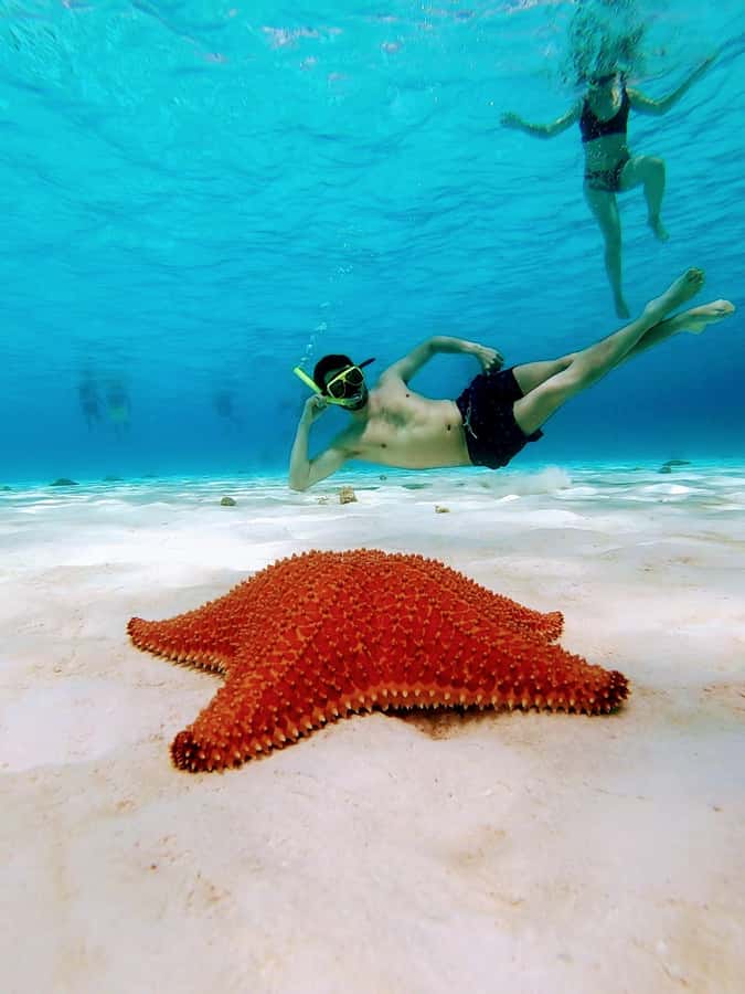 From Cozumel: El Cielo Beach by Catamaran Snorkeling Tour - What the guide and safety setup means for your comfort